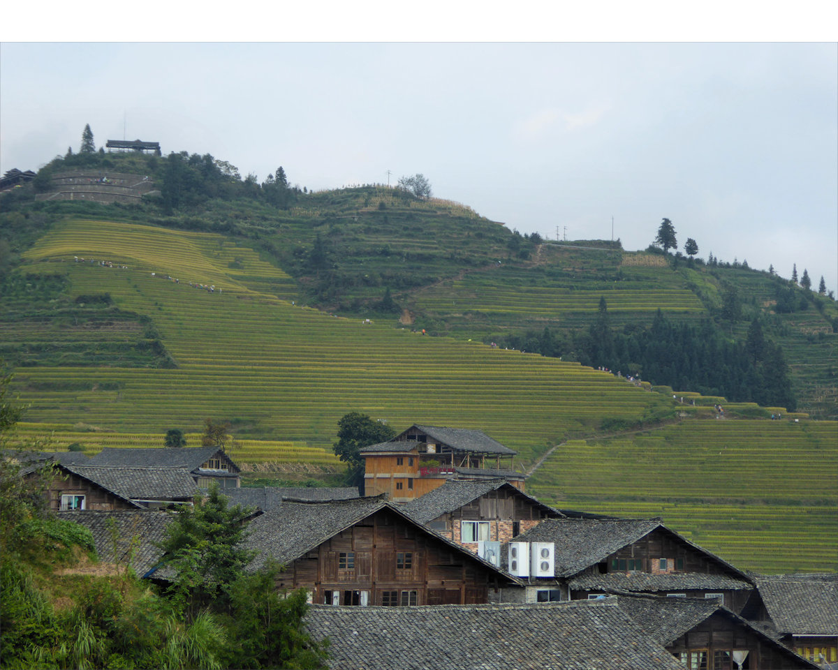 Longsheng / Longji rice terraces