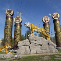 Harbin, Siberian Tiger Park 