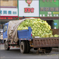 Harbin, donkey cart