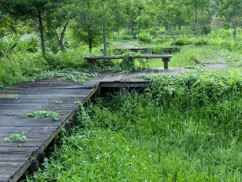 Matai'an Wetlands