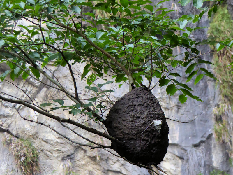 Swallow Grotto (Yanzikou)