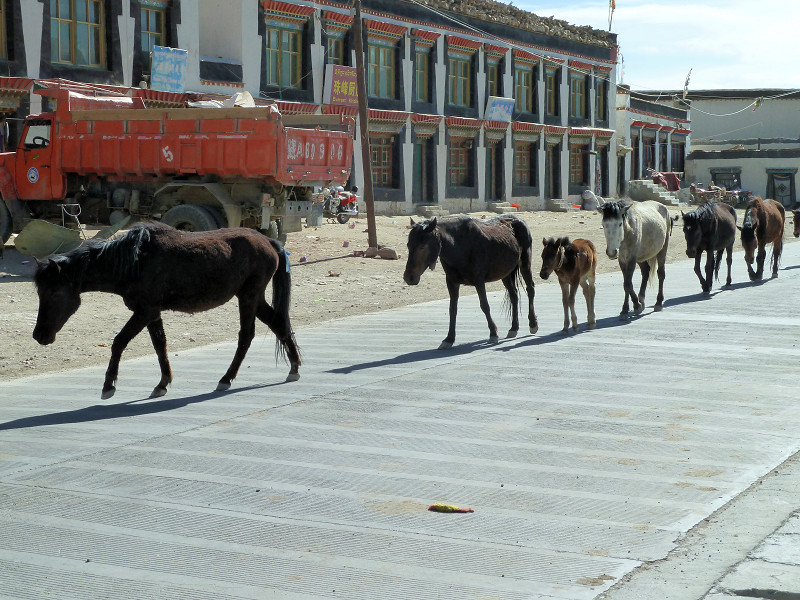 Old Tingri